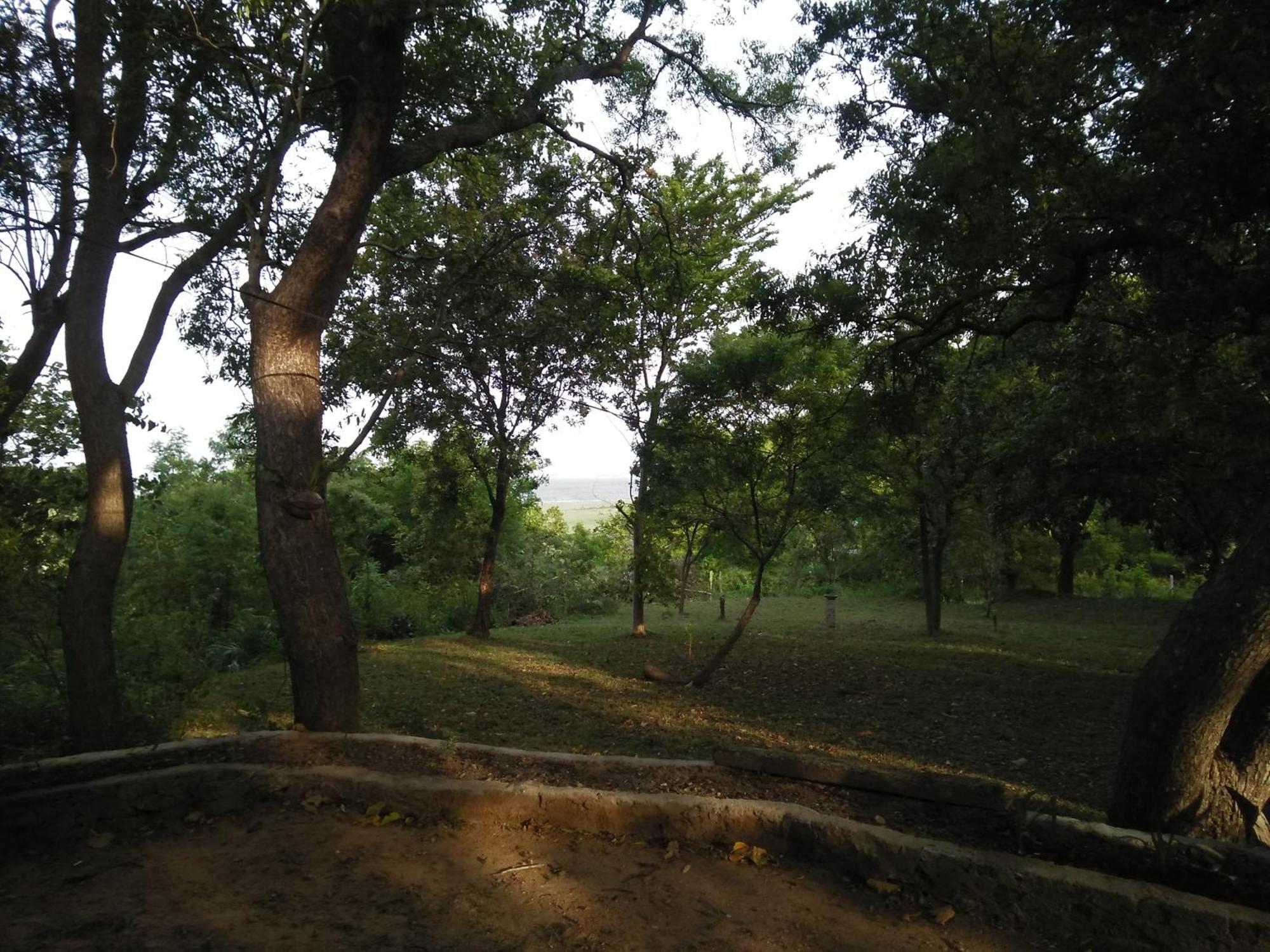 Udawalawe Wildlife & Nature Protection Bungalow Экстерьер фото